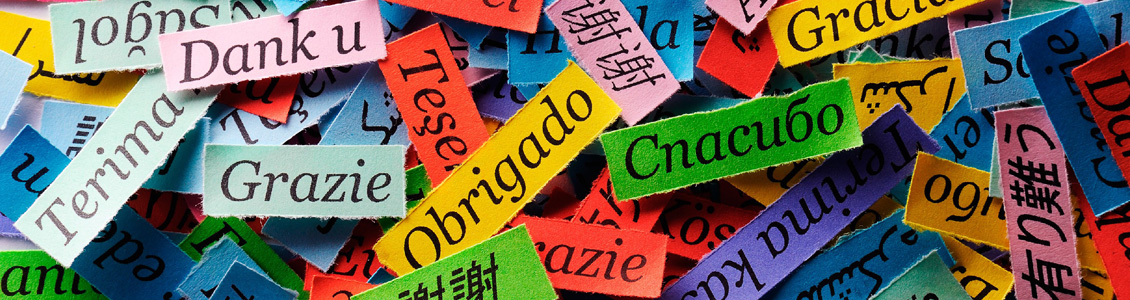 Поддержка блога